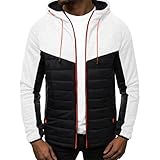 ADDZYY Herren Steppjacke Gefütterte Jacke sportliche Übergangsjacke Herrenjacke leichte Winterjacke modische Jacke für Männer Daunenjacke Sportjacke Freizeitjacke mit Kapuze Street Sty