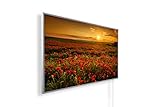 Könighaus Fern Infrarotheizung – Bildheizung in HD Qualität mit TÜV/GS - 200+ Bilder - 1000 Watt (48. Sonnenuntergang Klatschmoon Feld)