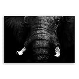 Bilderdepot24 Bild auf Leinwand | Elefant - schwarz weiß in 30x20 cm als Wandbild | Wand-deko Dekoration Wohnung modern Bilder | MM1086