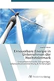 Erneuerbare Energie in Unternehmen der Hochsteiermark: Erneuerbare & Fossile Energieträger, Lebenszykluskostenrechnung & Förderung