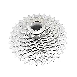 Shimano Kassette Deore Xt 10 Fach, silber, 11-36