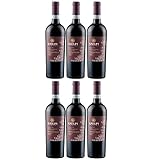 ILatium Morini Valpolicella DOC Rotwein Wein Trocken Italien I Versanel Paket (6 Flaschen)