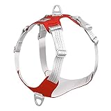 ZYYXB Hundegeschirr Hundetrainingsgeschirr Atmungsaktives und verstellbares Geschirrhalsband Mittelgroße Hundegeschirr Weste Pet Walking Harness,Rotes L