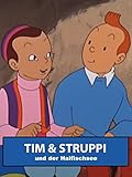 Tim und der H