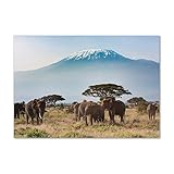 Tulup - Spritzschutz aus Glas für die Küche - 100x70 cm - Küchenrückwand - Küche Herd Wandanbringung Küchenrückwand aus Echtglas Memoboard - Tiere - Elefant Kilimanj
