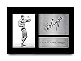 HWC Trading A4 Arnold Schwarzenegger Mr Olympia Gifts gedrucktes Autogramm Bild für Bodybuilding-Fans – A4