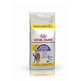 Royal Canin Appetite Control Sterilised Trockenfutter für Katzen, 10 kg + 2 kg