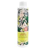 Jean & Len Shampoo Feuchtigkeit - Aloe Vera & Basilikum, für sehr trockenes Haar, schützt vor Feuchtigkeitsverlust, 300 ml, 1 Stück