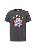 FC Bayern München T-Shirt Logo anthrazit, S