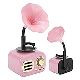 Weikeya Einfach zu Verwenden Jahrgang Lautsprecher, Mit 5 Watt 45 Hz-18 kHz 2in 45 Magnet x 1 Stereo Klang Kunststoff und M