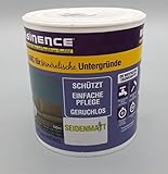 Résinence 2 Versiegelung für Mineralische Untergründe Wände und Möbel 500 ml (Farblos seidenmatt)