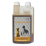 NutriLabs Canicox HD Ergänzungsfuttermittel flüssig für Hunde, 1er Pack (1 x 1 l)