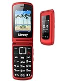 3G Seniorenhandy ohne Vertrag,Mobiltelefon mit Notruftaste,Rentner Handy große Tasten,Großtastenhandy, Dual SIM Dual-Display,Dual Batterie, Zeit und Taschenlampe (Rot)