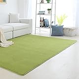 Teppich Modern Super Soft Touch Grün Korallen Teppich Shaggy Wohnzimmer Großer Rugs Flauschiges Schlafzimmer Kurzflor Rugs Indoor Anti Rutsch Carpet Geeignet für Wohnkultur(41)