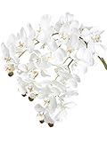 Famibay Künstlich Phalaenopsis Orchidee Blumen Echt Berühren 11 Köpfe Weiß Schmetterling Orchidee Blumen für Zuhause Dekoration 3 Stück