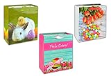 * 3er-Set große Geschenktüten | 2 wählbare Sets mit sechs Ostermotiven: Osterhasen, Küken, Ostereier, Ostergrüße | ca. (Set 1)