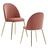 FineBuy Design Esszimmerstuhl 2er Set Samt Pink Gepolstert | Küchenstuhl Stoff mit Goldenen Beinen | Schalenstuhl Skandinavisch | Polsterstuhl mit Samtbezug