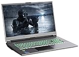 Captiva Highend Gaming R64-387 Notebook | AMD Ryzen 7 5800H | NVIDIA RTX 3070 8GB | 64GB DDR4 RAM | SSD 2X 2TB M.2 | 17.3' FHD 144Hz | ohne Windows | Laptop | WLAN | Silb