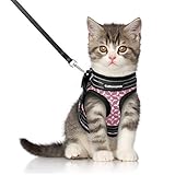 CatRomance Katzengeschirr mit Leine Set Geschirr für Katzen Ausbruchsicher Katzenweste weich verstellbarmit reflektierenden Streifen für kleine Kitten Katze Cat Harness M Pink