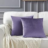 Samt Kissenbezug 40x40 cm Kissenbezüge Couchkissen Kissenhülle Dekokissen für Wohnzimmer Schlafzimmer Auto 2er Pack V