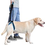 Laufgeschirre für die Hinterbeine, Hilft beim Anheben der Hinterbeine, Unterstützt ältere, Verletzte, Kranke und Behinderte Hunde (L)