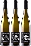 Markus Schneider Riesling Alte Reben 2020 3er Paket | Weißwein aus Deutschland | Pfalz (3 x 0.75l)