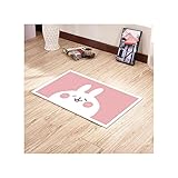HUANMING Flauschig Leben Teppich Wohnzimmer Couchtisch Nachttisch Teppich Schlafzimmer Teppichhalle Teppichboden Matten Nette Bodenmatten Moderner Innenbereich (Color : C, Größe : 80 * 120CM)
