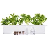Nelson Garden 1933 Hydroponik Growbox Kit - Harvy 6 - Hydrokultur Anzuchtkasten weiß Starter Kit für sechs Pflanzen (Verschiedene Größen erhältlich)