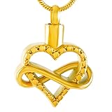 bsepztlmzo Asche Schmuck Andenken Edelstahl-Eleganz Infinite Love Herzförmige Hohle Feuerbestattung Asche Andenken Urnen-Anhänger-Halskette Für Menschliches H