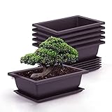 Atlnso 6 Stück Bonsai-Trainingstöpfe mit Tablett Blumentopf aus Kunststof Quadratischer Sukkulente Topfpflanzen Pflanztopf für Garten,Wohnzimmer und Bü