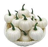 Aokeeu 16 Stück Mini Künstliche Kürbisse Deko Set, Halloween Kürbis Deko, Künstliche Herbst Mini Kürbis für Halloween Party Herbst Erntedankfest Gartendek