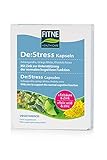 FITNE De:Stress, natürliches Nahrungsergänzungsmittel mit Ashwagandha, Ginkgo Biloba, Rhodiola Rosea und Zink, Unterstützung der normalen kognitiven Funktion (60 Kapseln)