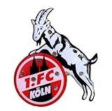 1. FC Köln *** Blinky *** Pin/Ansteck