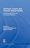 Vicarious Trauma and Disaster Mental Health: Understanding Risks and Promoting Resilience (Routledge Psychosocial Stress, Band 50)