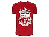 ROGER'S Offizielles T-Shirt von LiverpoolFC, Modell You Will Never Walk Alone, Rot, kurze Ärmel, Unisex, 100 % Baumwolle, Größen für Erwachsene und Jung