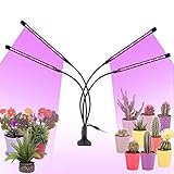Phytolamp Vollspektrum für Pflanzen Licht Phyto Lampe LED Grow Lampe für Saatgut Hydrokultur Blumen Zelt Box I