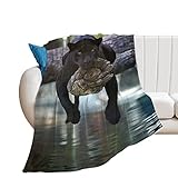 DCQFC Decke mit Tieren, Leopardenmuster, leicht, Plüsch und warm, für Bett, Sofa, Auto, 127 x 152