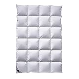 Billerbeck Daunendecke Nena 306 Kassette X extra warm, Füllung: 100% Gänsedaunen 155x200
