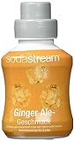 SodaStream Sirup Ginger Ale, Ergiebigkeit: 1x Flasche ergibt 9 Liter Fertiggetränk, Sekundenschnell zubereitet und immer frisch, 375 ml, b