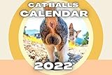 AACXRCR 2022 Lazy Cat Calendar, großer monatlicher Netzraum für Pläne und Zeitpläne, lustiger Tierliebhaber Gag Witz Geschenk für Frauen, Männer, Teenager, Haus & Bürokalender F