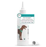 Hundepflege24 Ohrenreiniger Hund 250ml - Beseitigt Juckreiz, Entzündung, Kopfschütteln & Gerüche innerhalb weniger Tage - Natürliche Ohrentropfen für Hunde & Katzen mit Kamille + Aloe V