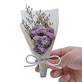 KONGZIR Künstliche Kristall Gras Mini Dry-Blumen-Blumenstrauß for Valentinstag DIY Geschenk-Verpackung Dekor Getrocknete Blumen Fotografie Props (Color : B 2)