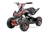 800W 36V Eco Python Kinderquad Quad Mini Atv Pocketbike Dirt Nitro Motors (Blau)