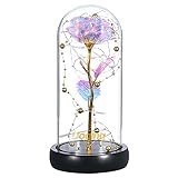 Schönheit und das Biest Rose Kit, Ewige Rose im Glas, Rotgoldfolie und Led Light mit Goldperlen auf Holzsockel Rose Geschenk für Hauptdekor, Geburtstags, Hochzeits, Valentinstag, Jubiläum - B