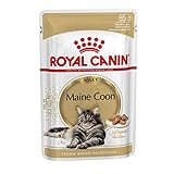 ROYAL CANIN, Maine C