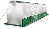 Bio Green Super Dome Folientunnel, Transparent, Grü