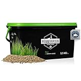 Green Home® Rasendünger Premium - 3,5kg High Tech Rasen Langzeitdünger schützt vor Moos - Dünger Rasen mit beeindruckender Wirkung - Gebinde 100% recycelt - Made in Germany