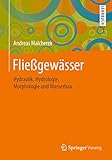 Fließgewässer: Hydraulik, Hydrologie, Morphologie und Wasserb