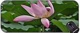 Rosa Lotus-Schreibtisch-Pad-Tastatur-Pad, Lotus-Büro-Mausp