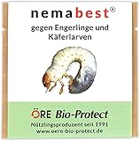 nemabest® HB Nematoden für 100m² (50 Mio.) gegen Engerlinge und Käferlarven vom Gartenlaubkäfer, Junikäfer, Maik